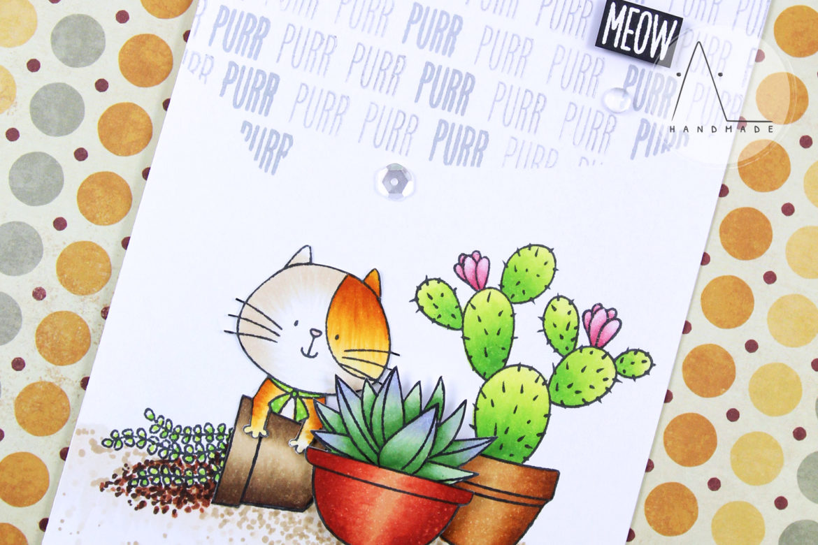 AL handmade - Curious cat among succulents