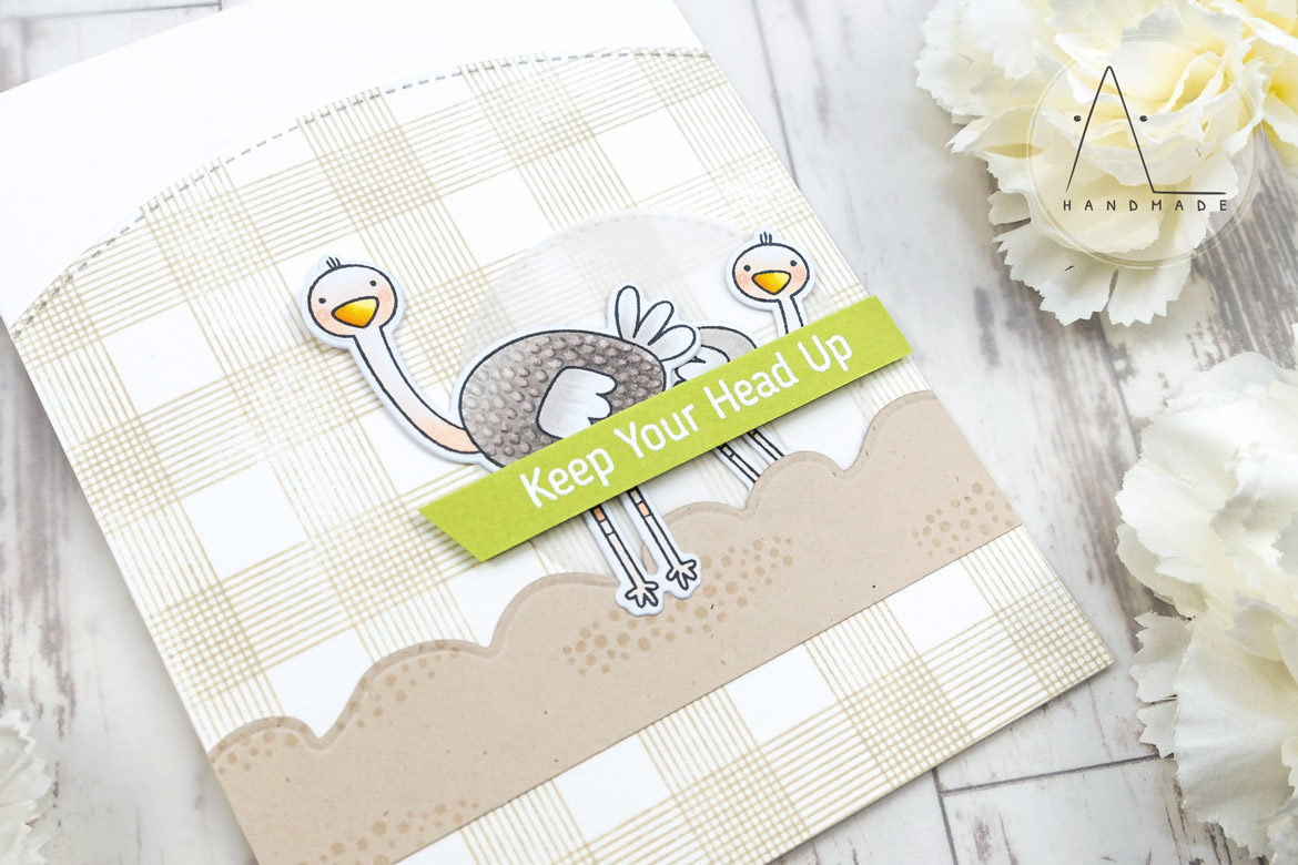 AL handmade - My Favorite Things DT - WSC 442 - Oh My Gostrich stamp set